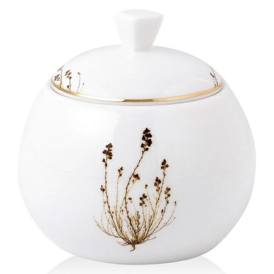 Полноразмерное изображение Полноразмерное изображение